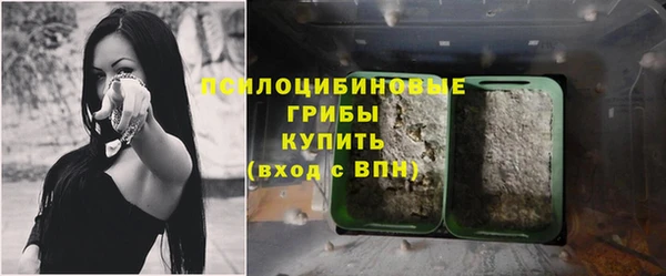 PSILOCYBIN Наволоки