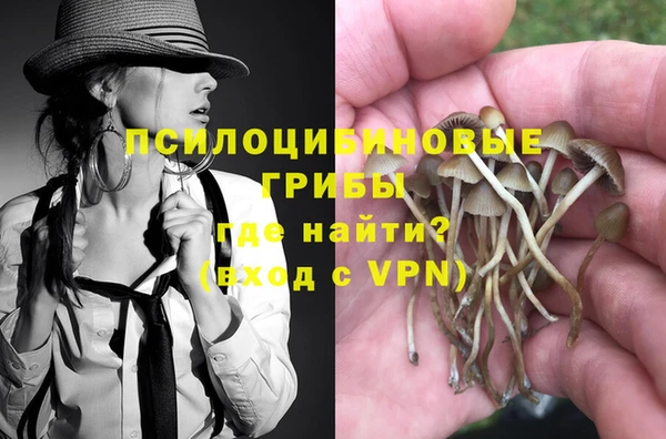 PSILOCYBIN Наволоки