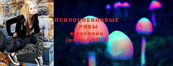 PSILOCYBIN Наволоки